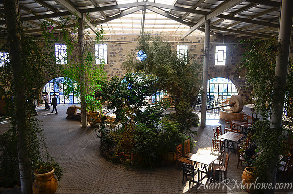 Olea Essence Visitor's Center