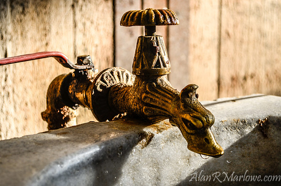 The Water Dragon