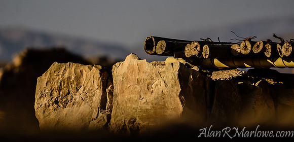 Sheltering Masada