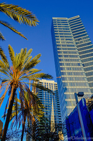 It's not Miami, it's Tel Aviv