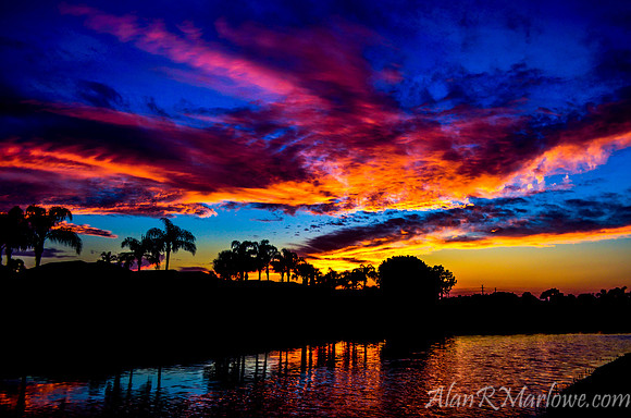 Silhouette of Color