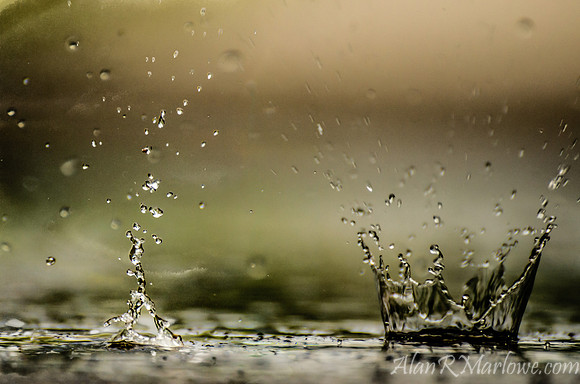 Rain Walker