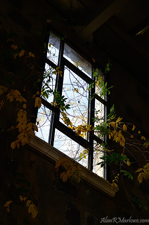 Go towards the light
