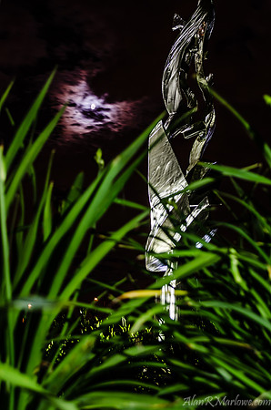 The Statue in the Garden