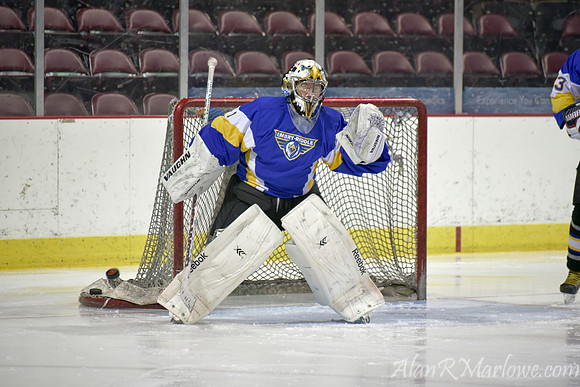 Ice Eagles 1-12-15 007 of 770