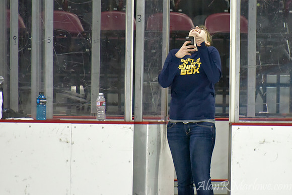 Ice Eagles 1-12-15 009 of 770