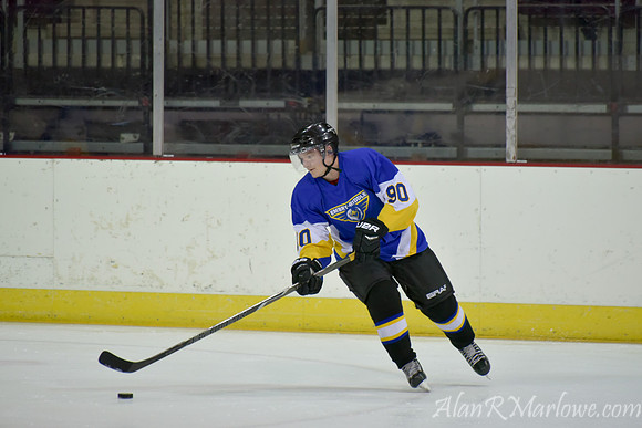 Ice Eagles 1-12-15 068 of 770