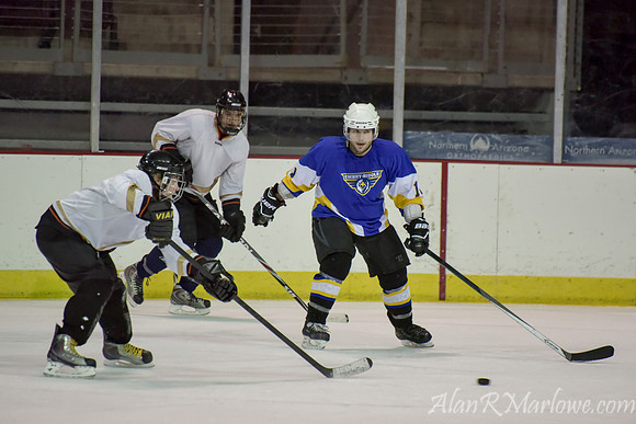 Ice Eagles 1-12-15 455 of 770