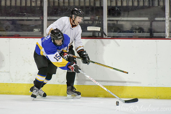 Ice Eagles 1-12-15 555 of 770