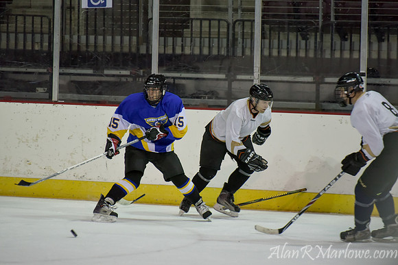 Ice Eagles 1-12-15 561 of 770