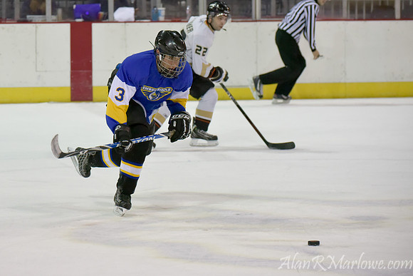 Ice Eagles 1-12-15 677 of 770