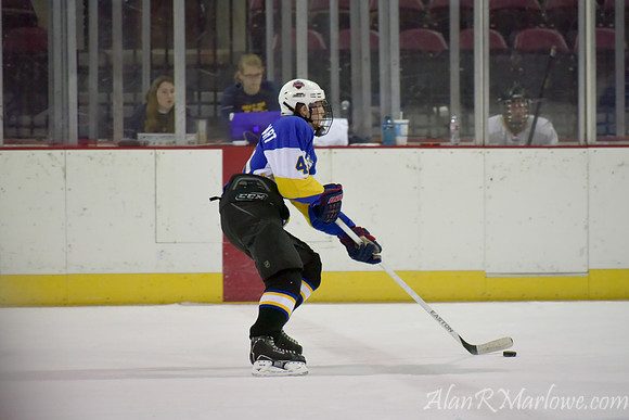 Ice Eagles 1-12-15 702 of 770