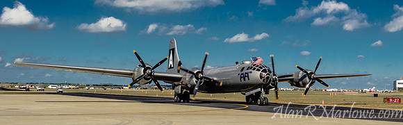 Fifi in Color