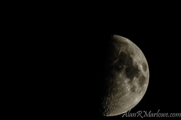 Independence Day Weekend Half Moon
