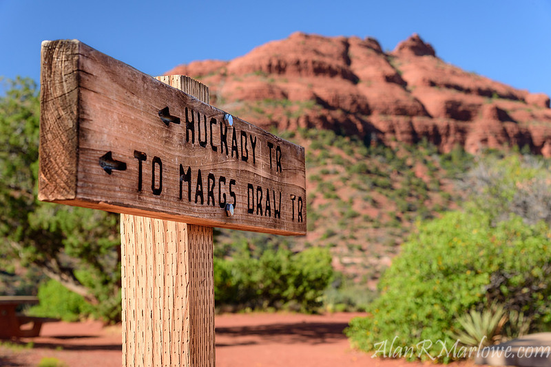 Back to the Trail