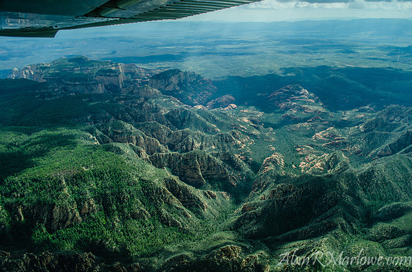 Arizona Greenery