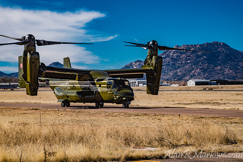 Presidential Osprey against Granite Mountain