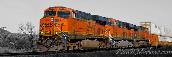 Northern Arizona's Orange Lumbering Beast