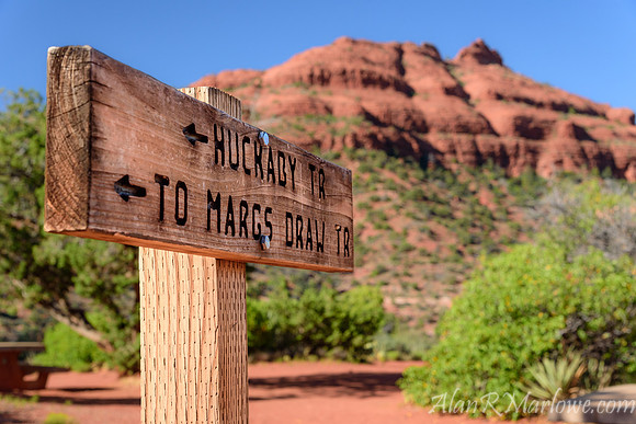Back to the Trail