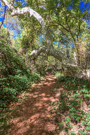 Red Rock State Park Trail