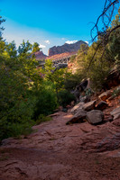 Touring Arizona